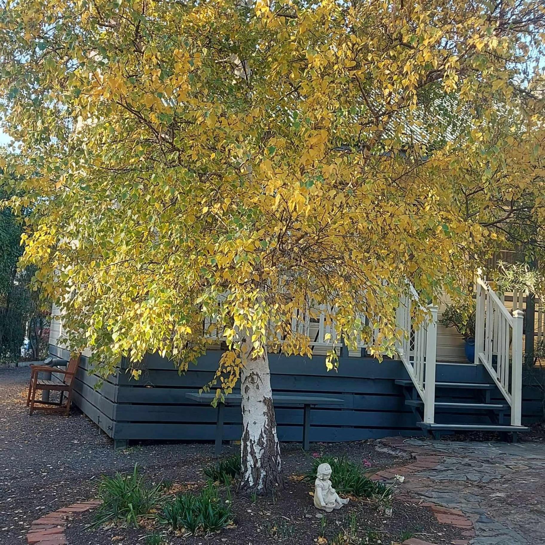 Avoca Cottages Victoria Εξωτερικό φωτογραφία